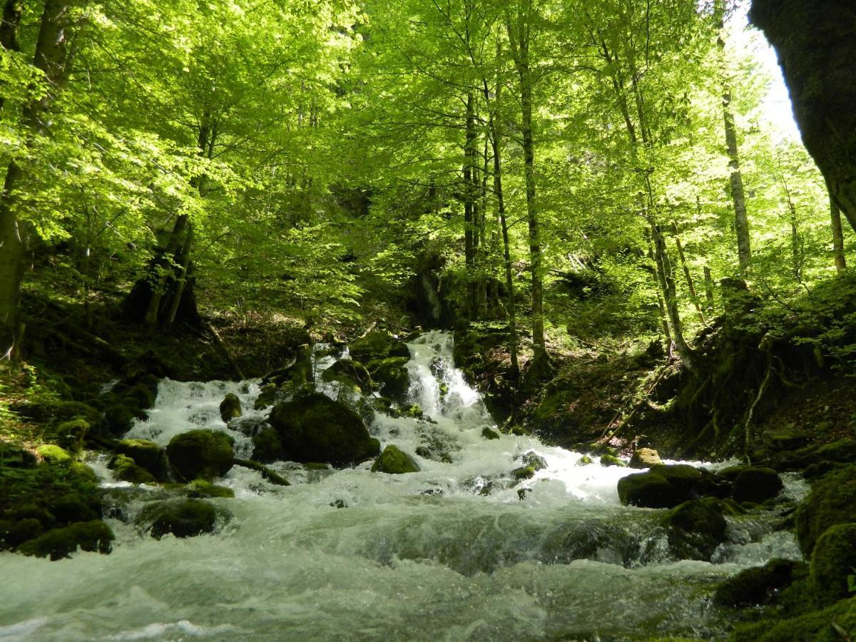 Egglmeier'S Ferienwohnung Грундльзее Экстерьер фото